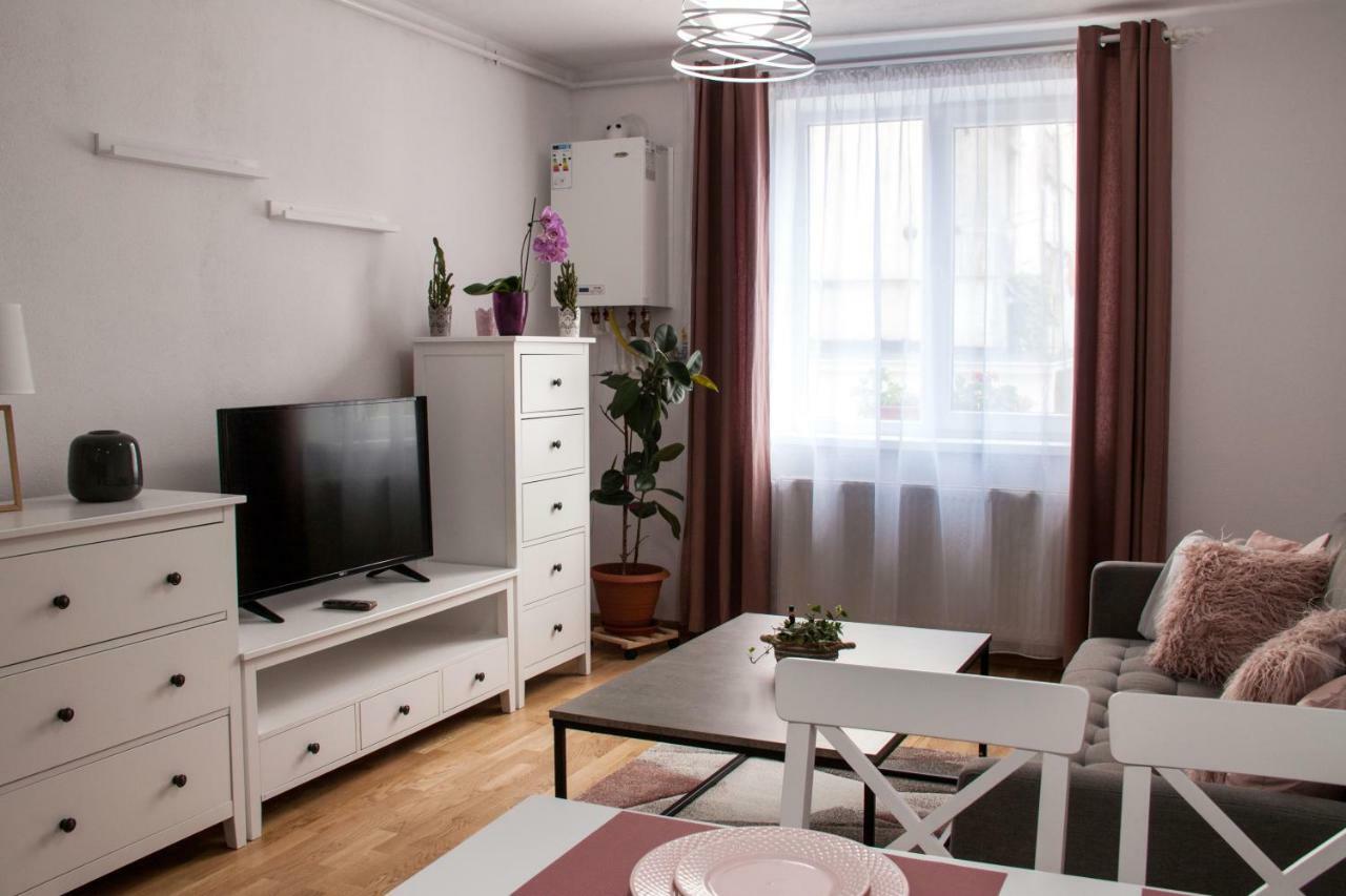 Ana Cristina Apartament Sighisoara Exterior photo