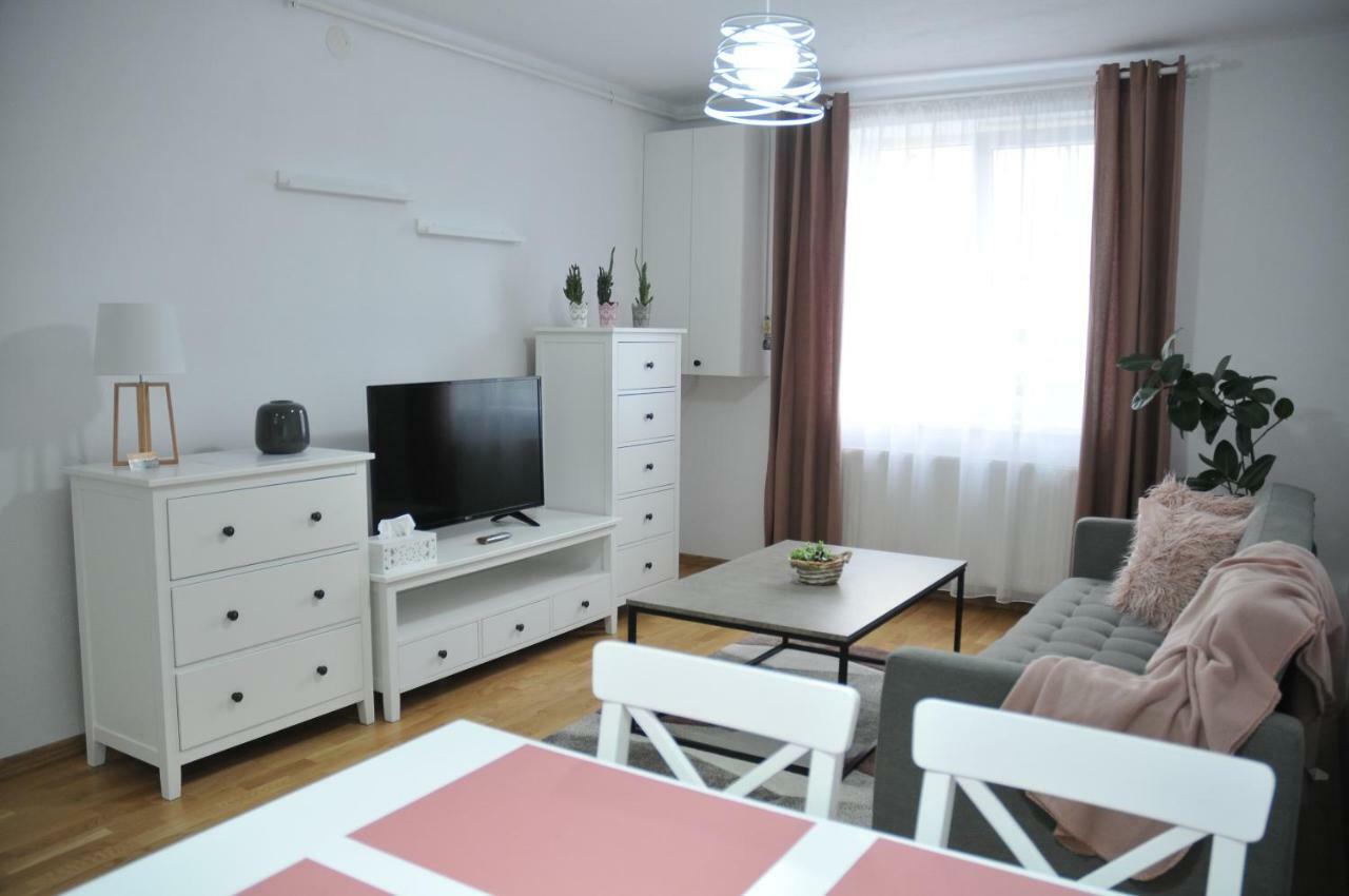 Ana Cristina Apartament Sighisoara Exterior photo